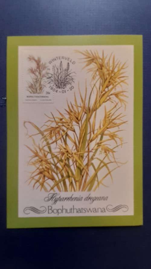 BOPHUTHATSWANA 1984 INDIGENOUS GRASSES