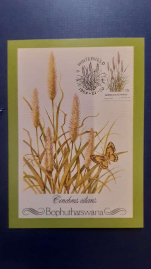 BOPHUTHATSWANA 1984 INDIGENOUS GRASSES