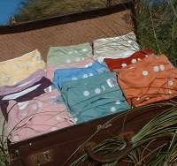 All-In-One Bamboo Nappy (Mother Nature) Full-Time Pack