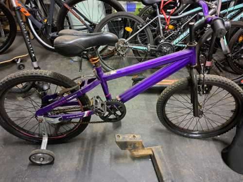 Kiddies Raleigh Enduro 2.0 Twenty bicycle with training wheels