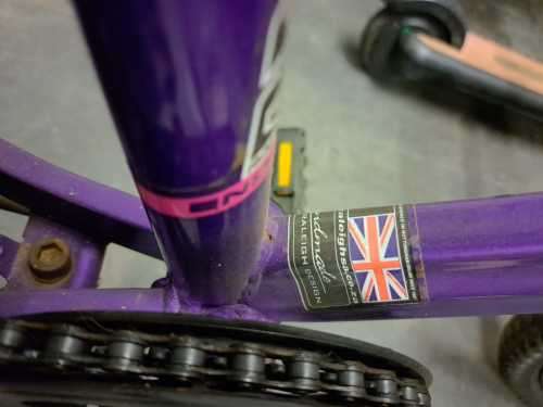 Kiddies Raleigh Enduro 2.0 Twenty bicycle with training wheels