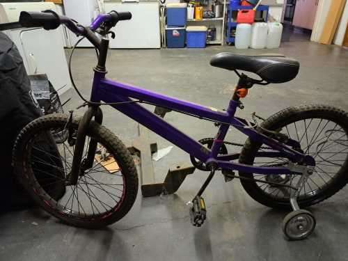 Kiddies Raleigh Enduro 2.0 Twenty bicycle with training wheels