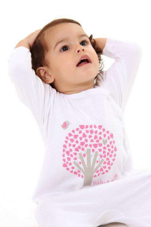 Babgrows Bundle - Original Babybong - 24 Units