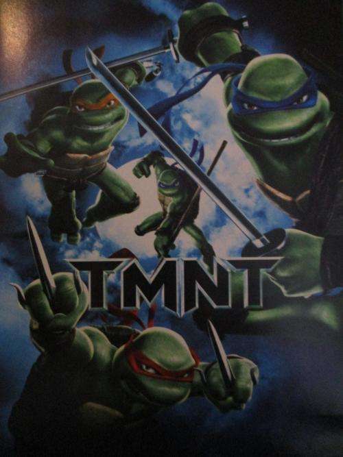 DVD - TMNT Teenage Mutant Ninja Turtles