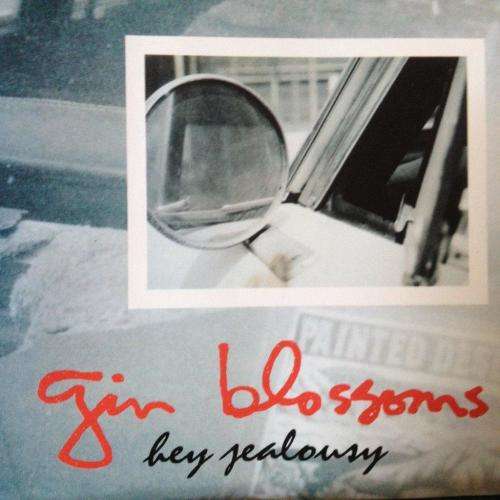 CD - Gin Blossoms -  Hey Jealousy (single)