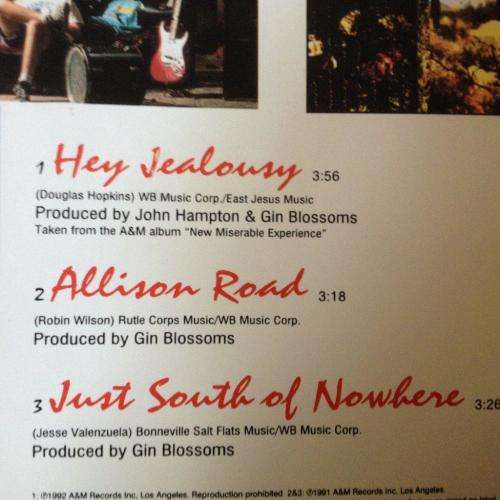 CD - Gin Blossoms -  Hey Jealousy (single)