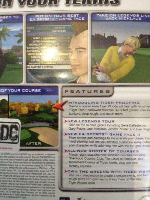 PS2 - Tiger Woods PGA Tour 05