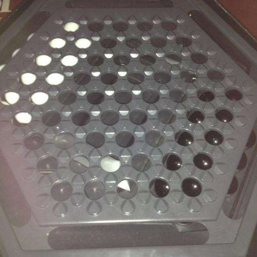 Abalone - Made in France 1990