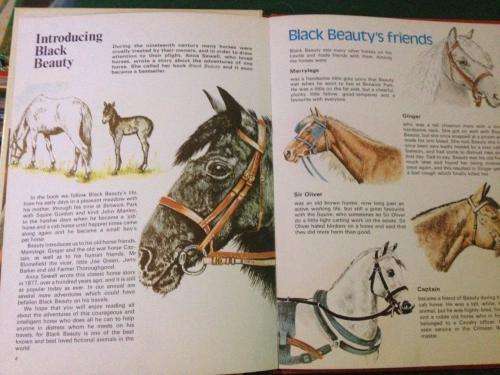 Black Beauty Annual 1978