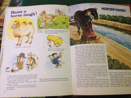 Black Beauty Annual 1978