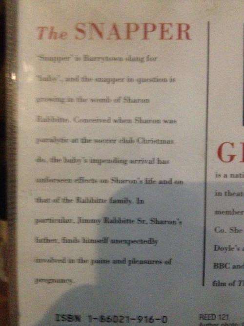 Cassette - The Snapper - Roddy Doyle  (2 cassettes)