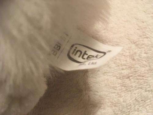 Fluffy - Barbie's Cat - Mattel 2014  +-16cm