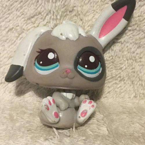Littlest Pet Shop LPS Character No 9