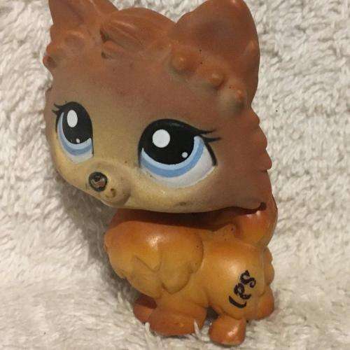 Littlest Pet Shop LPS Character No 12