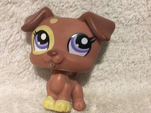 Littlest Pet Shop LPS Character No 13
