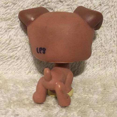 Littlest Pet Shop LPS Character No 13