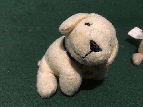 5 x Baby Soft Puppies +-10cm long