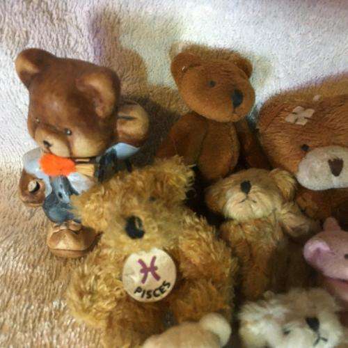 Job lot of 14 Small Collectable Teddies