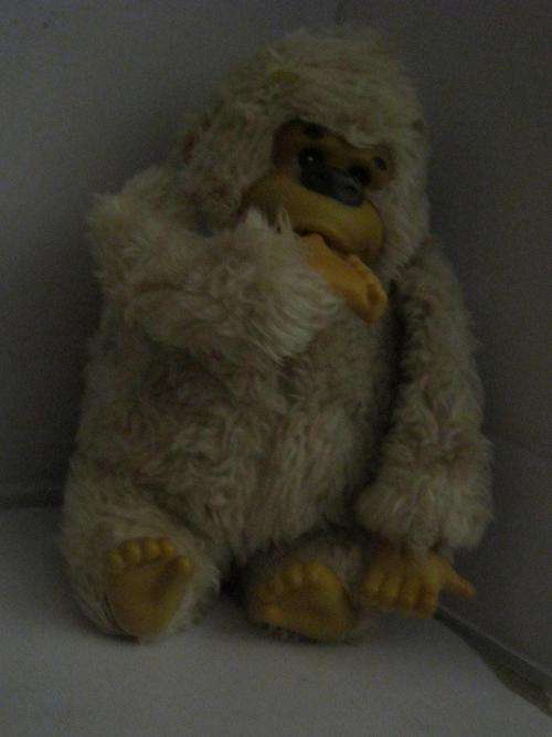 Gonga the monkey +- 23cm