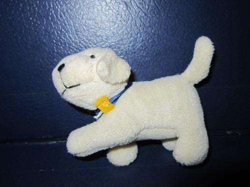 Baby Soft Puppy giving his paw