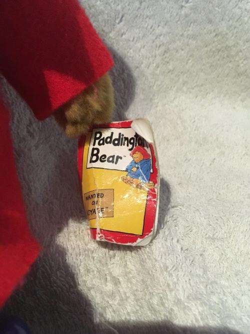 Paddington Bear - Augusta Bay 2005 - +-29cm