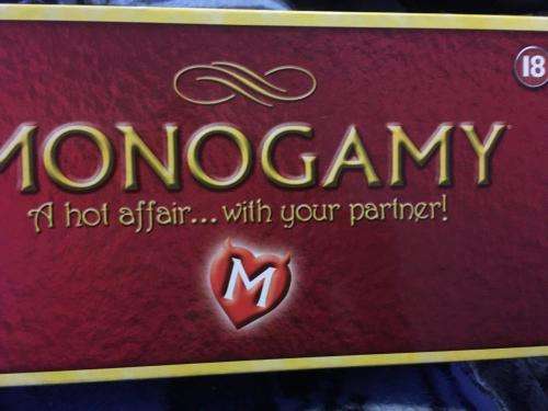 Monogamy A hot affair...with your partner!