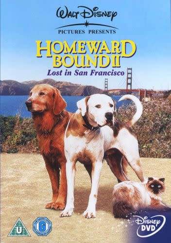 DVD - Homeward Bound II Lost In San Francisco