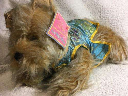 Russ - Yorkshire Terrier - Jayde  +-30cm