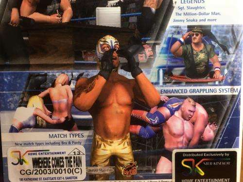 PS2 - WWE Smackdown Here Comes The Pain
