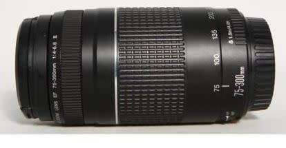 Canon 75-300 mm Lens