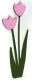TULIP PINK - DIE CUT SCRAPBOOKING