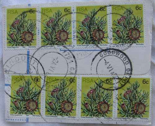 South Africa - 8 STAMPS - 6c Protea - 2 Strips of 4 each (Used) STILL ON PAPER