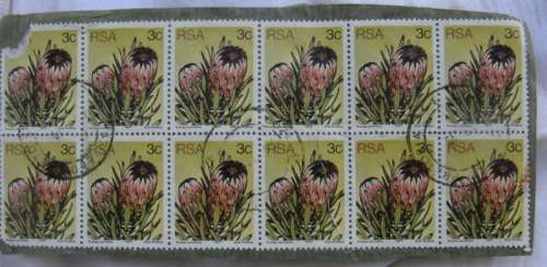 South Africa - 12 Stamps  ON PAPER - 3c  Proteas - NOTE CORNER ONE DAMAGED