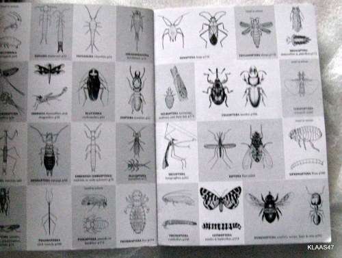 Comprehensive Field Guide   TO   African insects with full-colour photo  OVER 1200 species pp