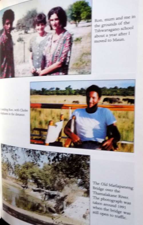 Place of Reeds - Caitlin Davies - Paperback