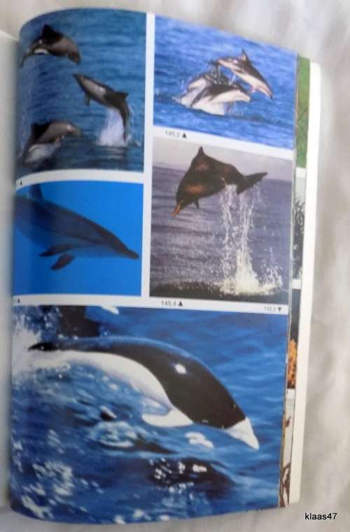 TWO OCEANS A GUIDE TO THE MARINE LIFE OF SOUTHERN AFRICA  paperback 1994