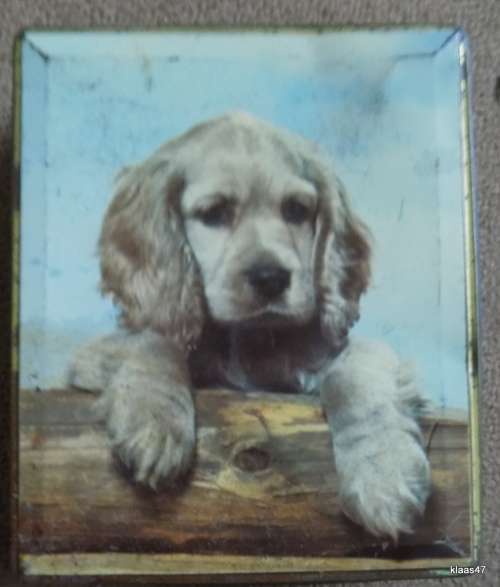 VINTAGE EDWARD SHARP SOUTH AFRICA TIN : 17.5x14.5x4.5cm