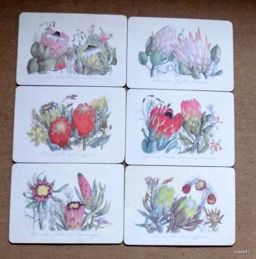 SET OF SIX PLACE MATS : PROTEAS : CORK BASE :  29.5x21cm