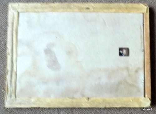 RUGBY WORLD CUP 1995 : FRAMED MIRROR : 27.5x20cm : **note damage to frame**