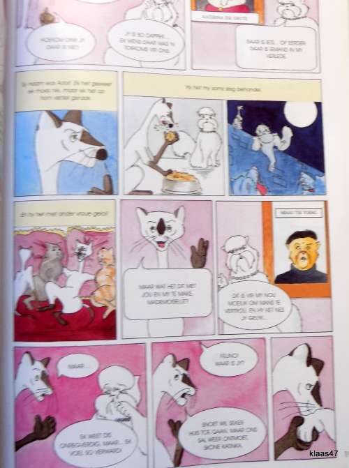 Agent Snoet en die bottrerdiamant deur Francois Bloemhof & Alistair Ackermann