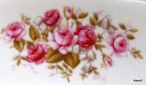 Queen Anne - Rose Garden - Bone China - Bowl - 15cm Diameter