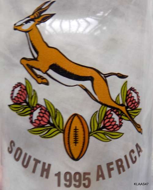 Arcoroc South Africa 1995 Springbok Rugby Emblem Beer Glass -   15cm High