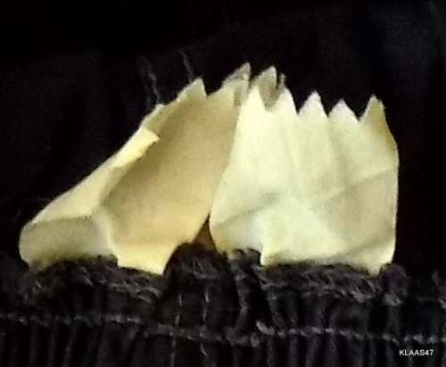 SA ARMY(SADF) - PT Shorts (Black) Label Faded (Small or Medium)