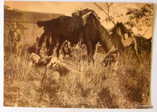 Tired Out Printed Sepia Postcard Photo Men and Horses Horace W Nicholls 1899