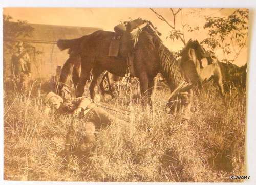 Tired Out Printed Sepia Postcard Photo Men and Horses Horace W Nicholls 1899