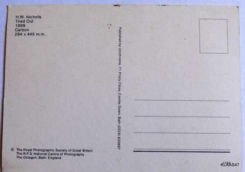 Tired Out Printed Sepia Postcard Photo Men and Horses Horace W Nicholls 1899