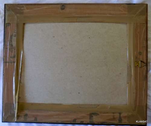 Rosina Wachtmeister - Violin - Framed size 36.5x30cm