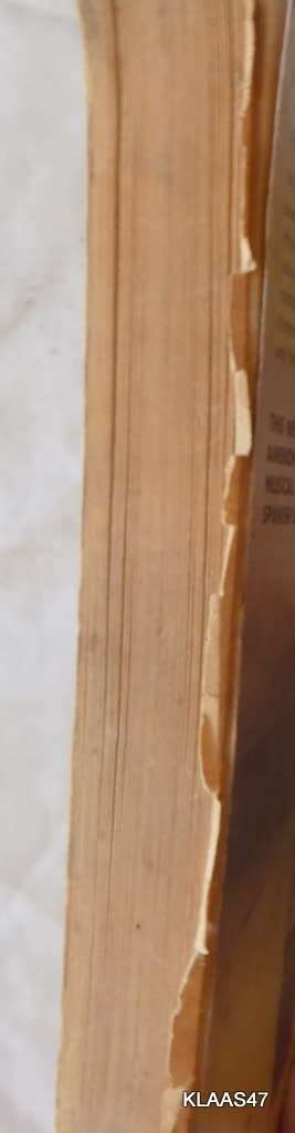 Guitar  - Dan Morgan - Paperback - One page loose but not missing