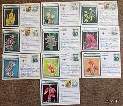 10 Post Cards - South African `Erica` fynbos Series - 1970`s - See pictures