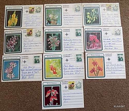 10 Post Cards - South African `Erica` fynbos Series - 1970`s - See pictures